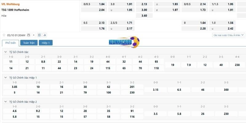 Tỉ lệ kèo trận Wolfsburg vs Hoffenheim